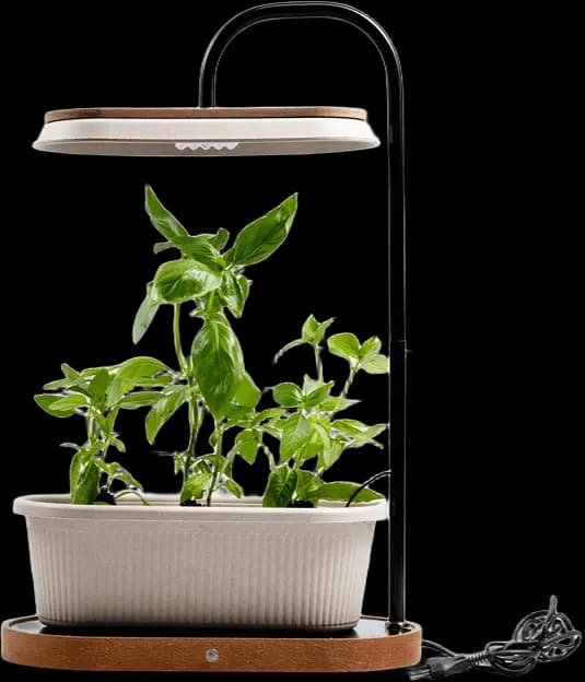 SagePod Mini - Smart Indoor Garden